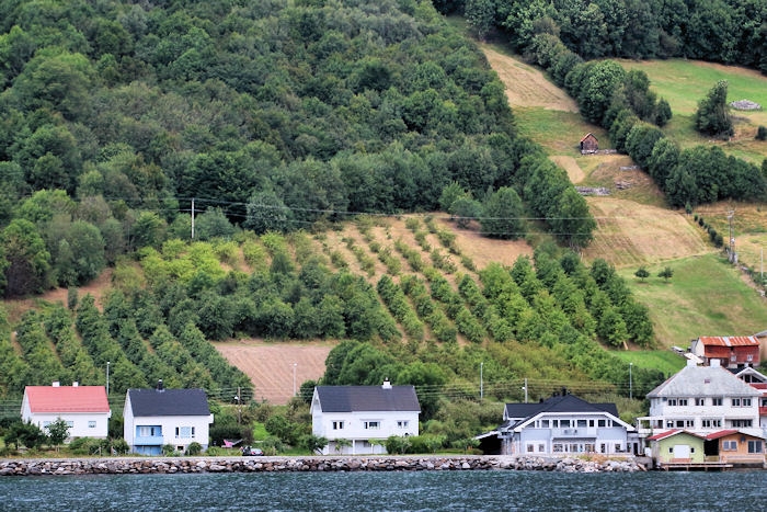 BalestrandToOslo_0979