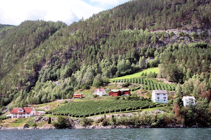 BalestrandToOslo_0986