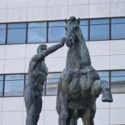 There are two equestrian statues in front of one of the BCP Millenium banks (opposite the Bazar Paris Toy store) in Porto